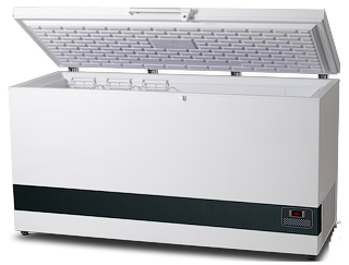 Horizontal deep freezer deals